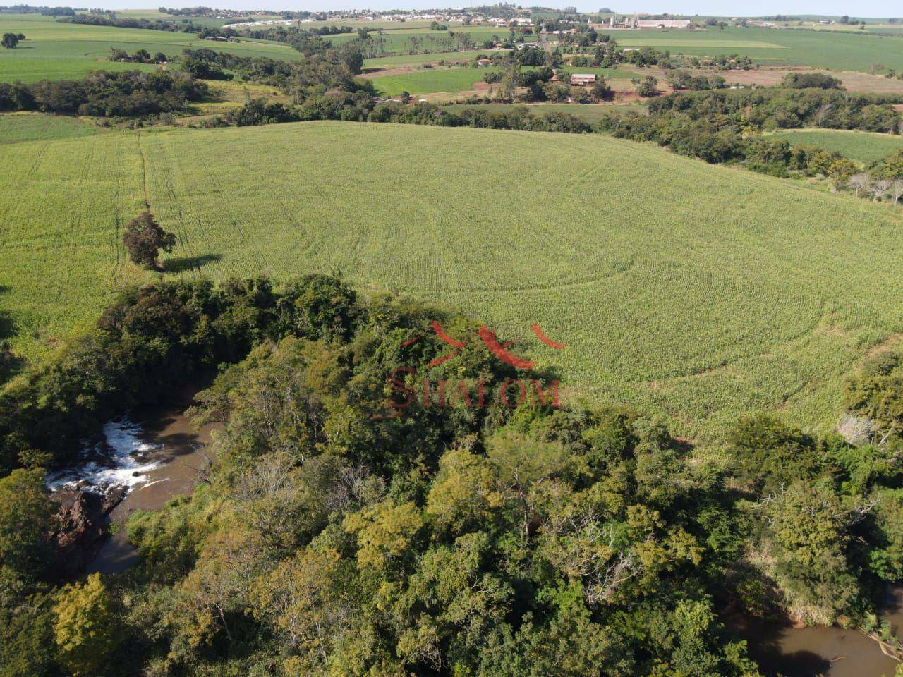 Fazenda-Sítio-Chácara, 12 hectares - Foto 1