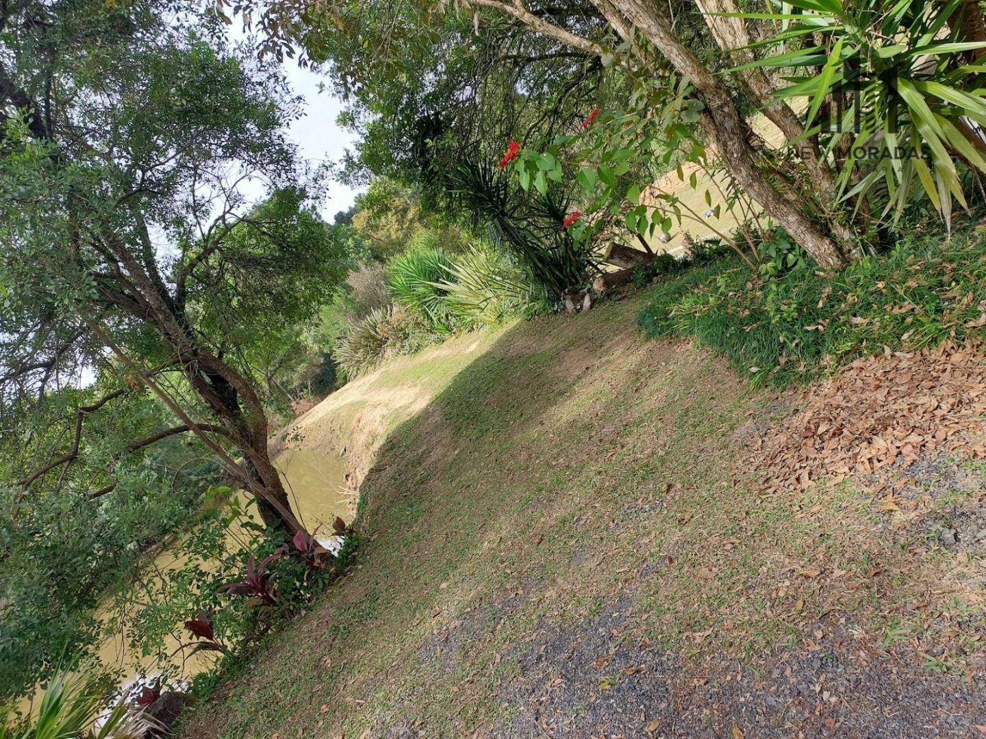 Chácara, 3 hectares - Foto 9