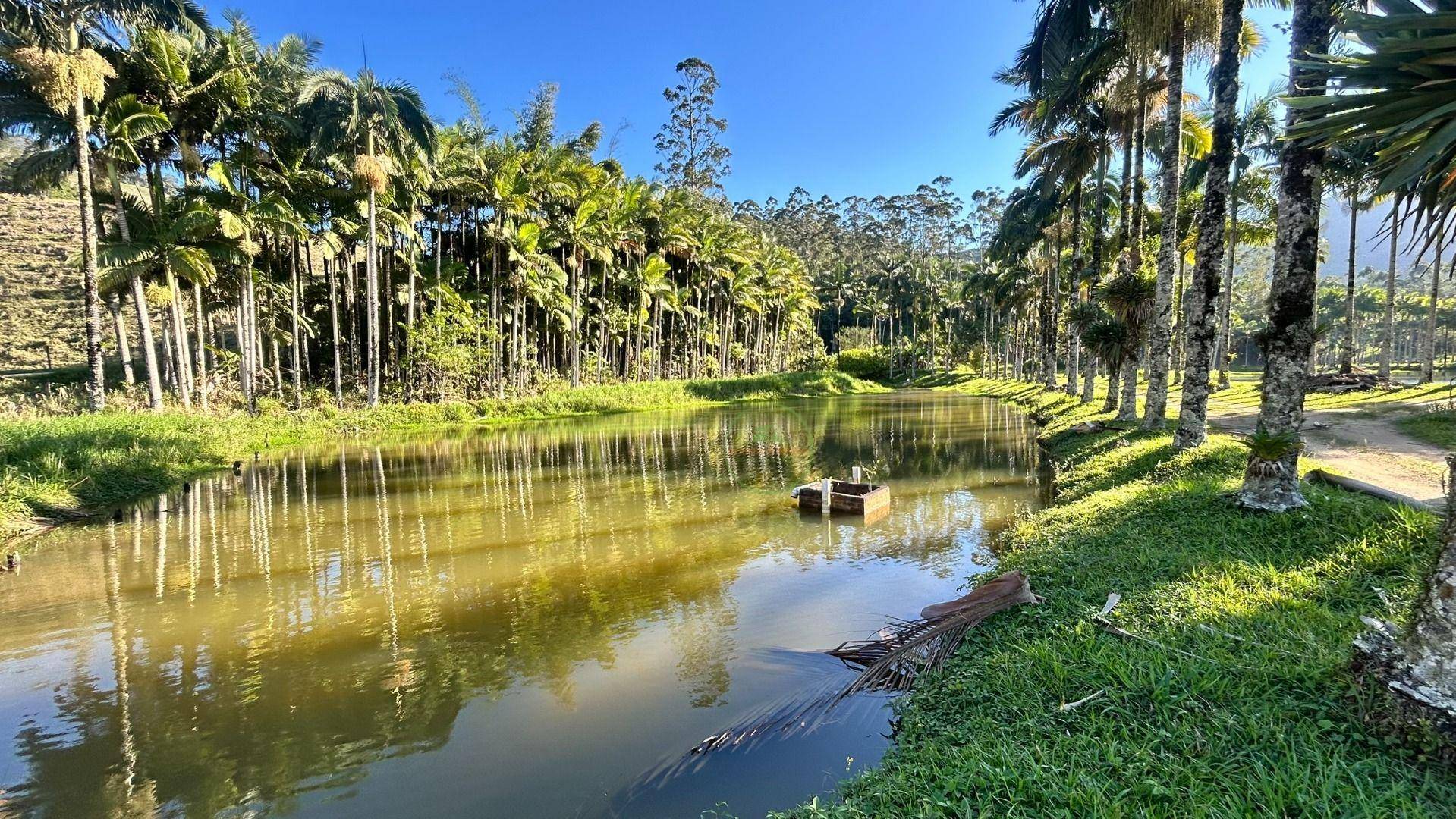 Sítio, 19 hectares - Foto 37