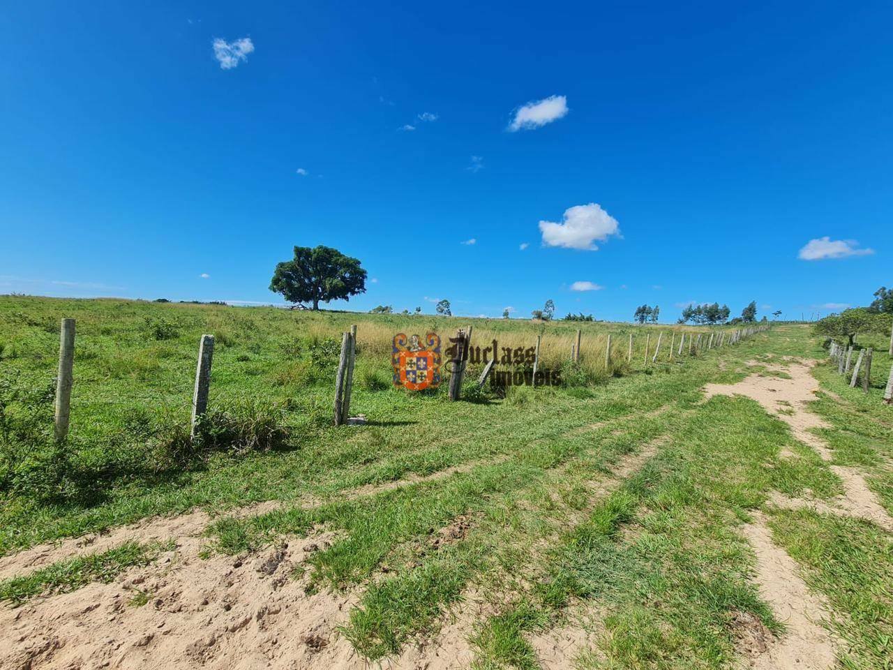 Fazenda à venda, 1258400M2 - Foto 41