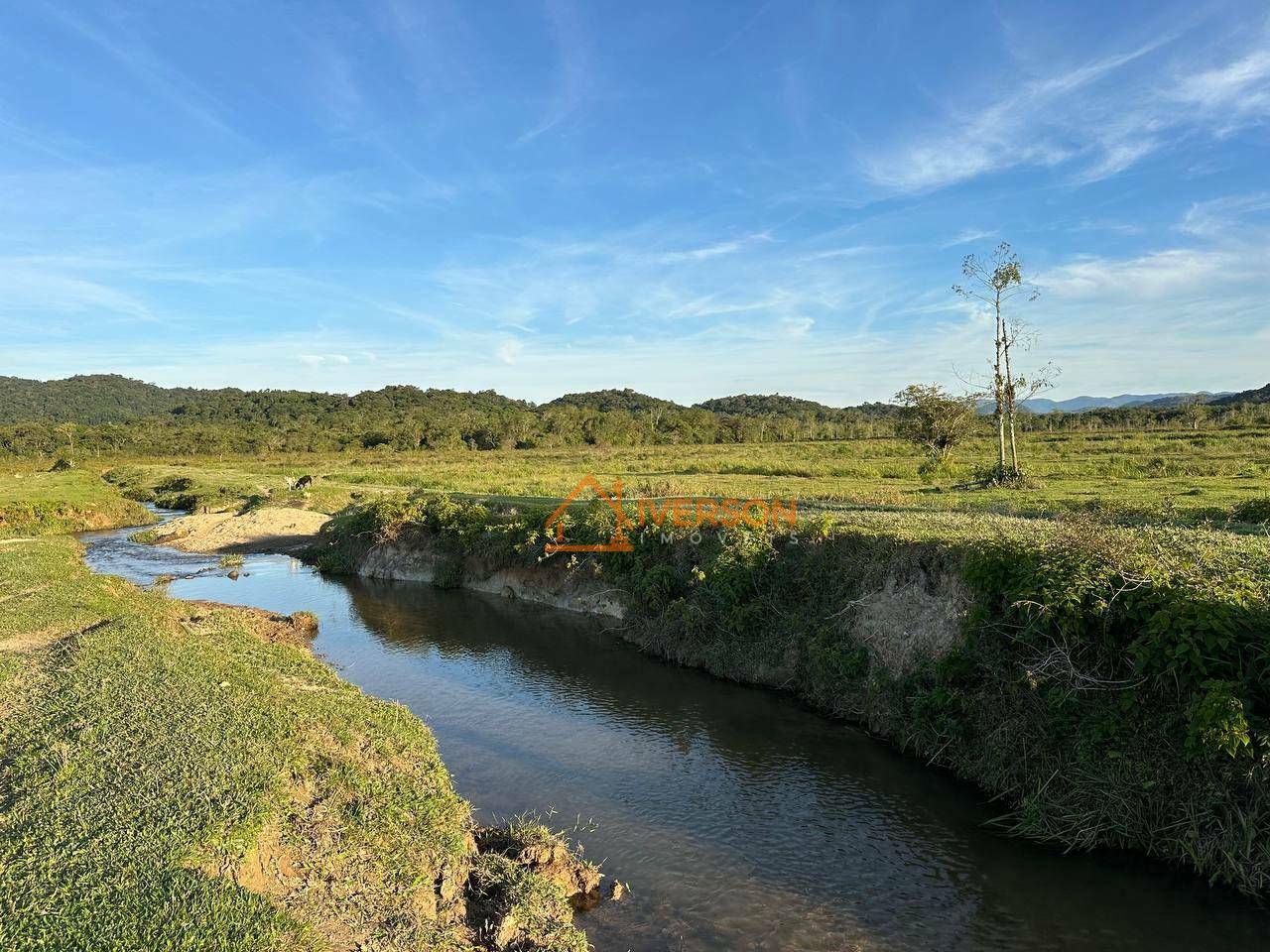 Fazenda à venda com 5 quartos, 500m² - Foto 16