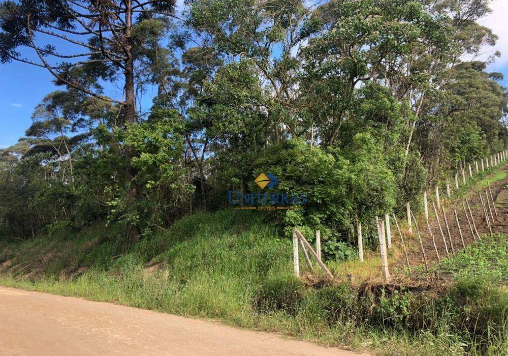 Terreno à venda - Foto 3