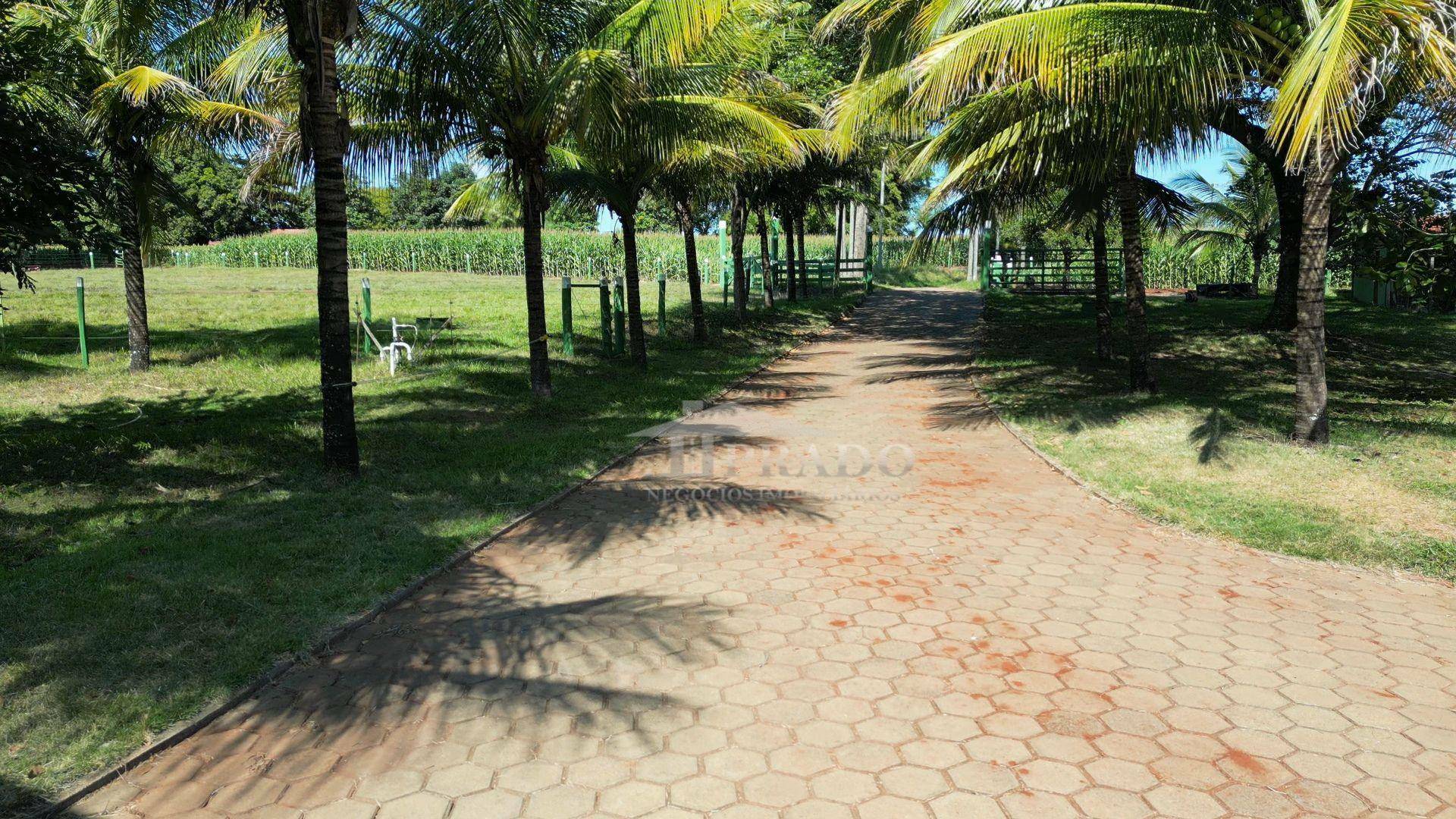 Sítio, 7 quartos, 36 hectares - Foto 14