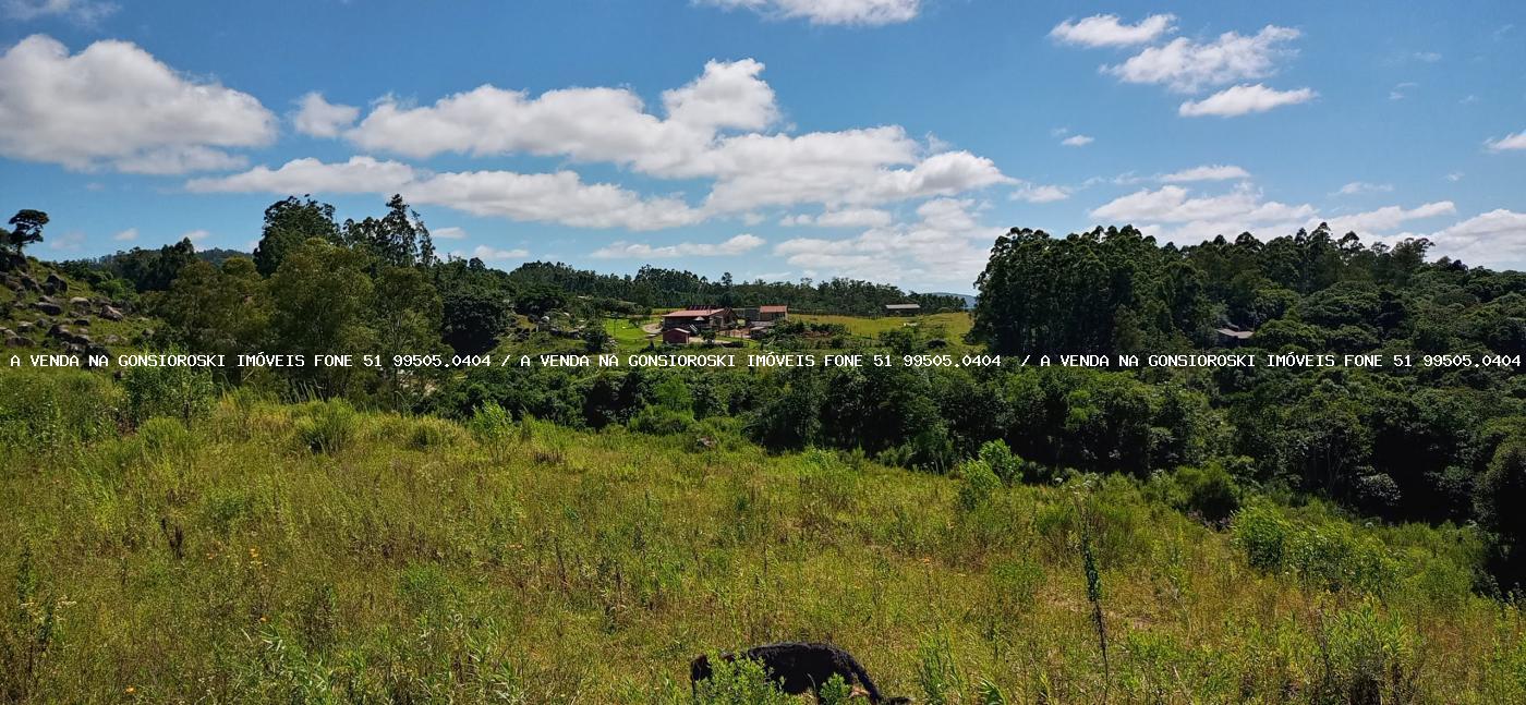 Chácara à venda com 2 quartos, 600000m² - Foto 37