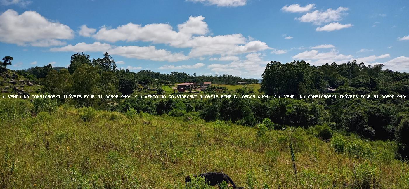 Fazenda à venda com 2 quartos, 600000m² - Foto 37