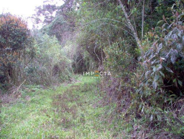 Terreno à venda, 73000M2 - Foto 19