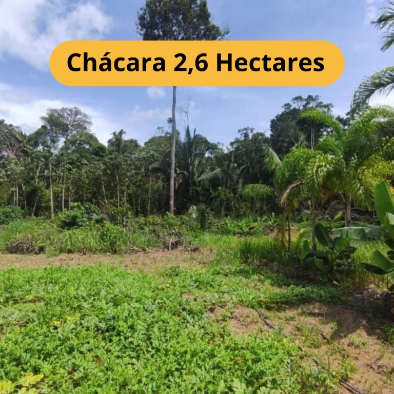 Chácara, 3 quartos, 3 hectares - Foto 1