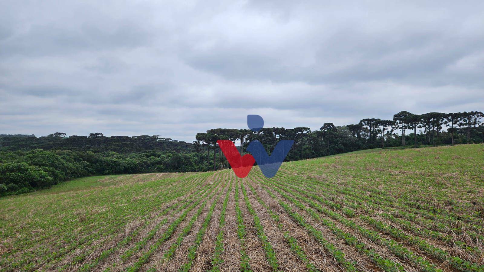 Fazenda à venda com 3 quartos, 1694000M2 - Foto 42