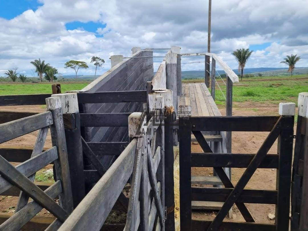 Fazenda à venda, 60984000M2 - Foto 18