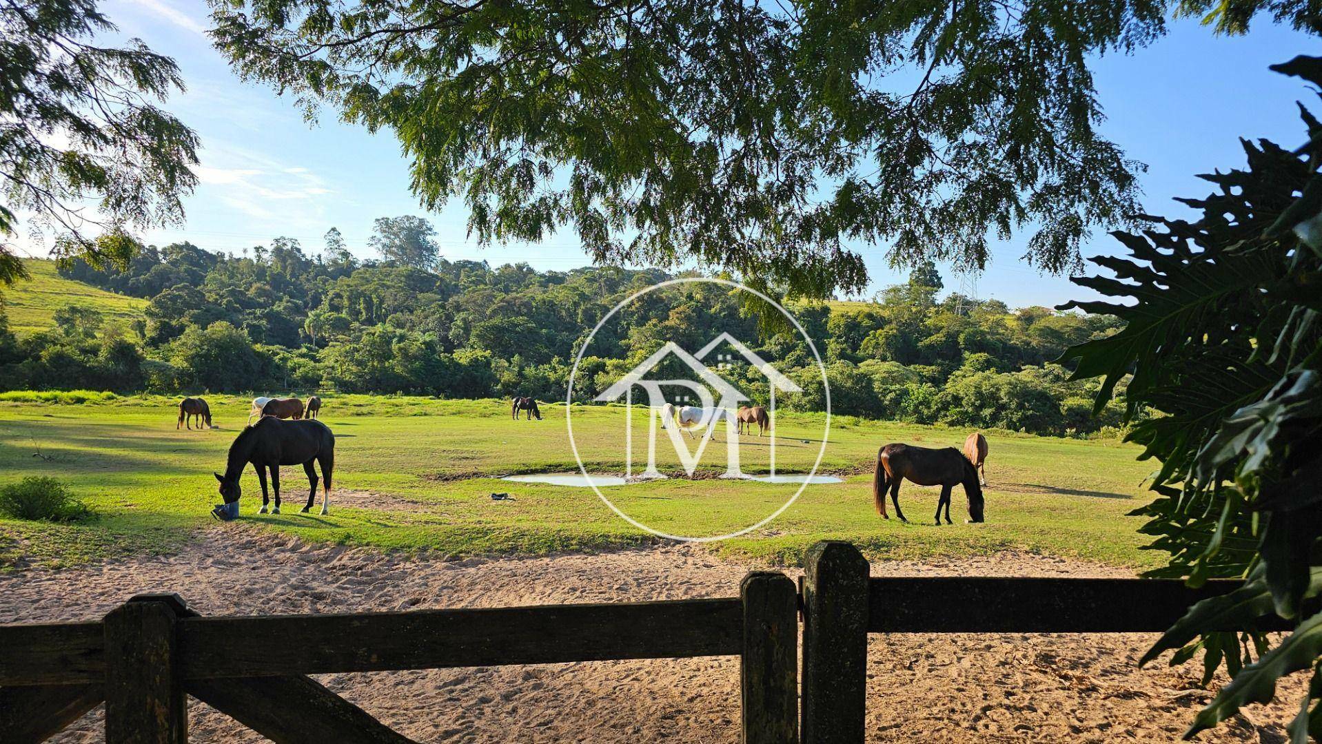 Haras e Área Rural Padrão à venda com 3 quartos, 133100M2 - Foto 20