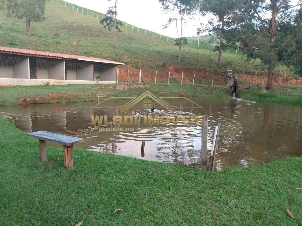 Fazenda à venda com 3 quartos, 50000m² - Foto 20