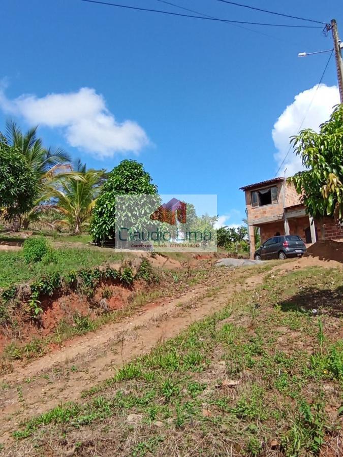 Fazenda à venda com 2 quartos, 35m² - Foto 11