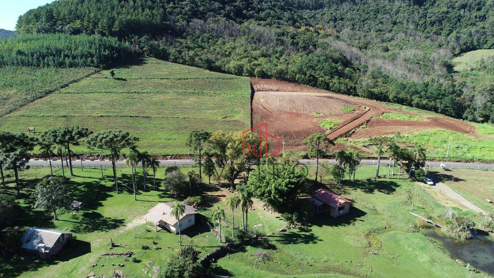 Sítio, 4 hectares - Foto 1