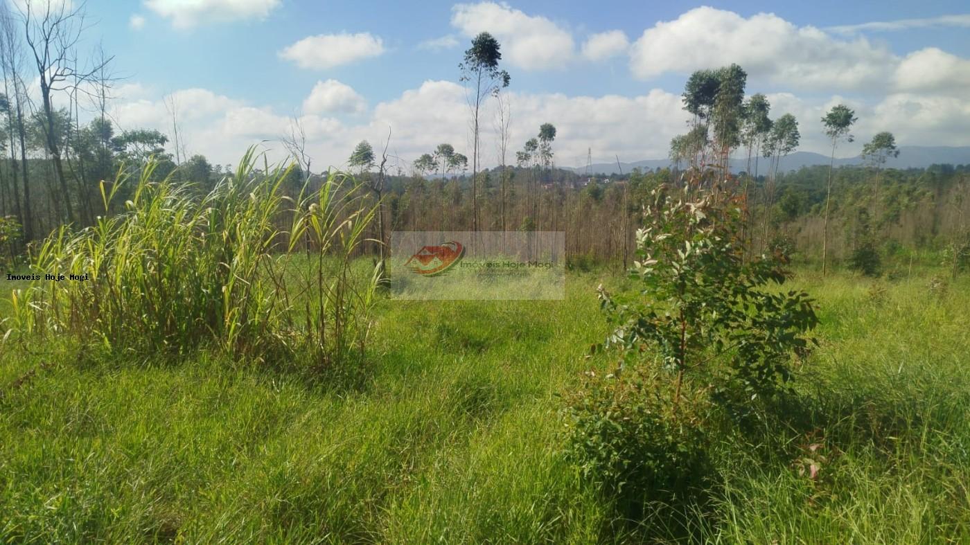 Terreno à venda, 5000m² - Foto 13