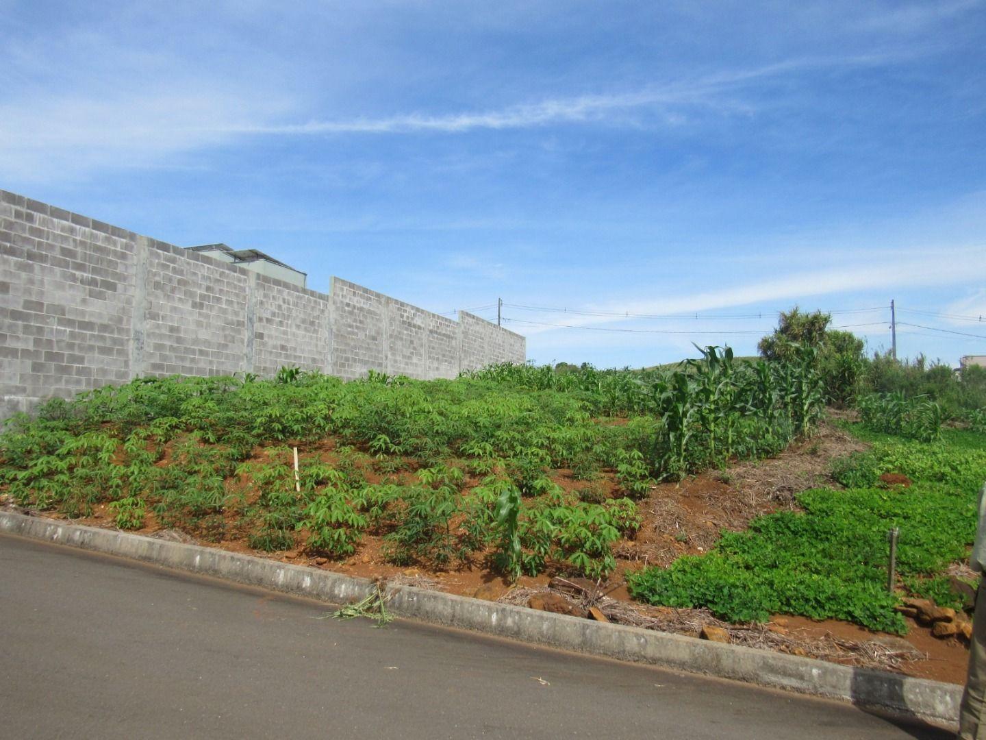 Terreno, 360 m² - Foto 4