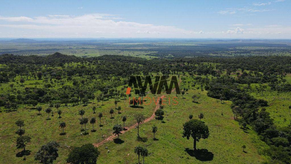 Fazenda, 823 hectares - Foto 18