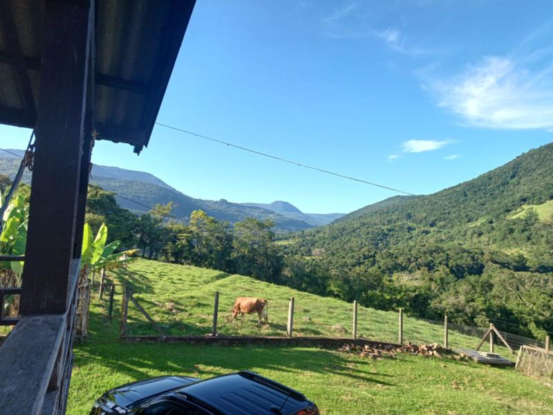 Sítio à venda com 1 quarto, 150m² - Foto 60