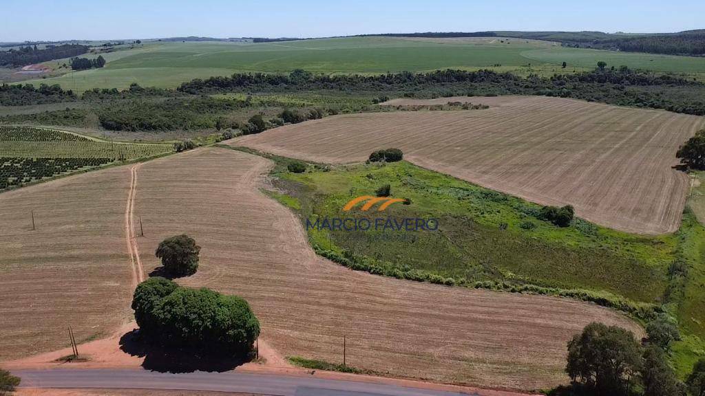 Fazenda à venda, 1210000M2 - Foto 2