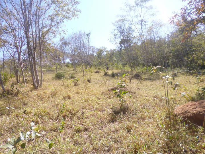 Fazenda à venda - Foto 18