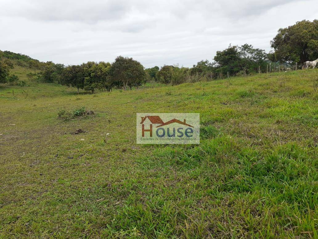 Terreno à venda, 8000M2 - Foto 4