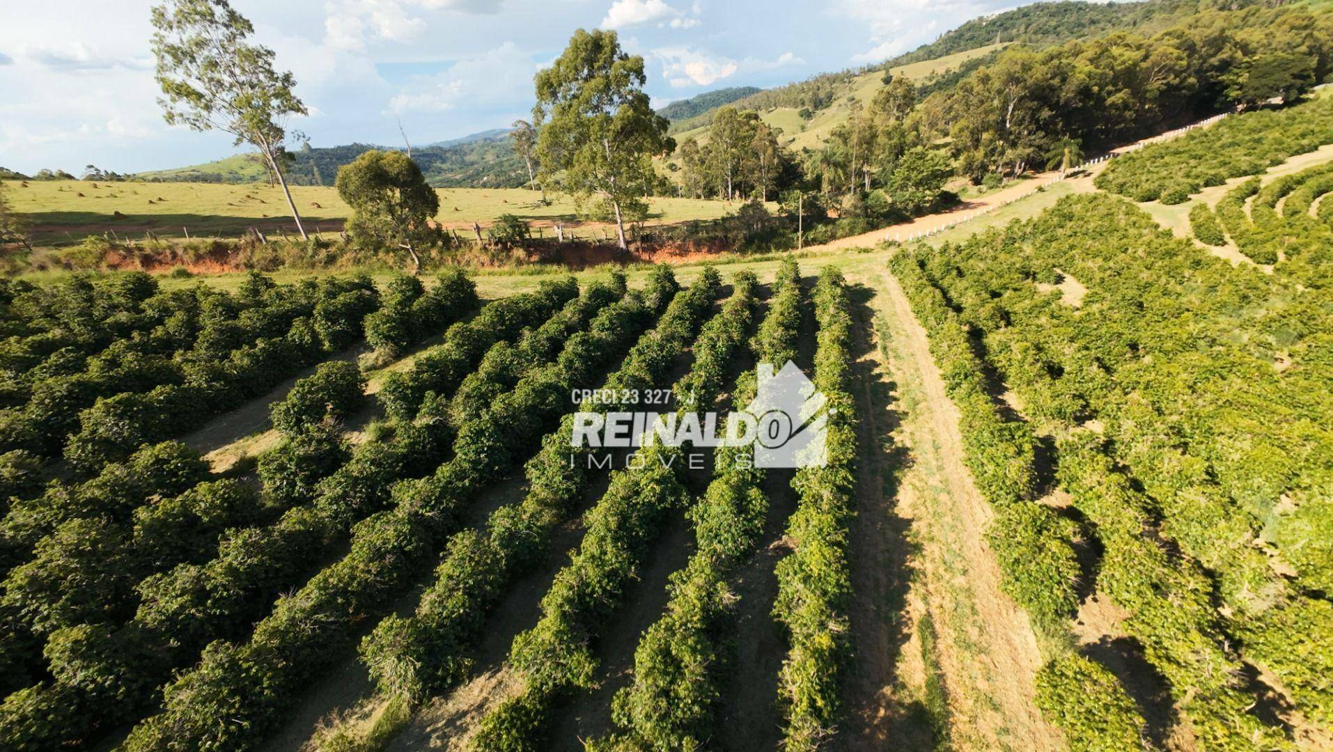 Fazenda à venda com 9 quartos, 5000m² - Foto 23