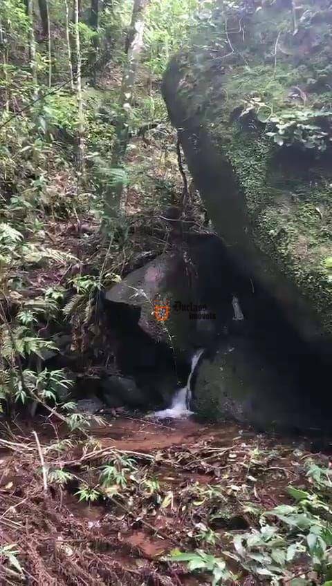 Fazenda à venda com 5 quartos, 690217M2 - Foto 24