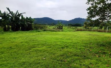 Fazenda à venda com 2 quartos, 200000m² - Foto 11