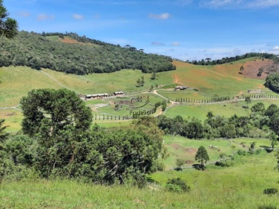 Fazenda à venda com 6 quartos, 1000m² - Foto 30