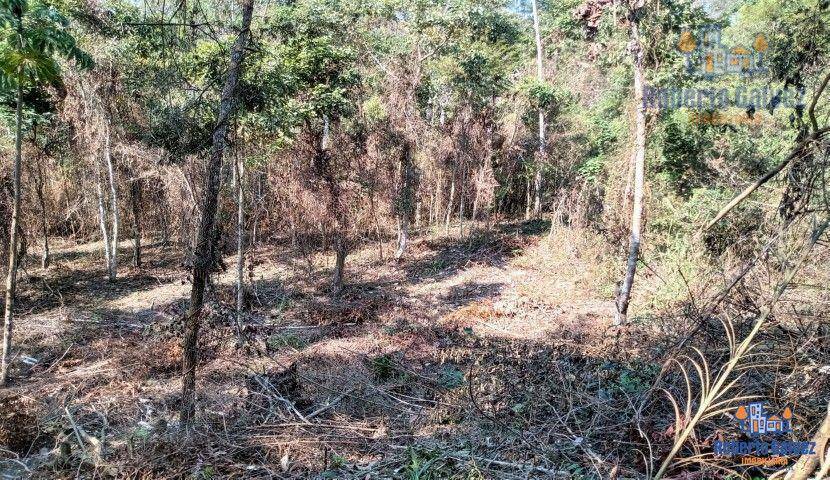 Loteamento e Condomínio à venda, 1055M2 - Foto 5