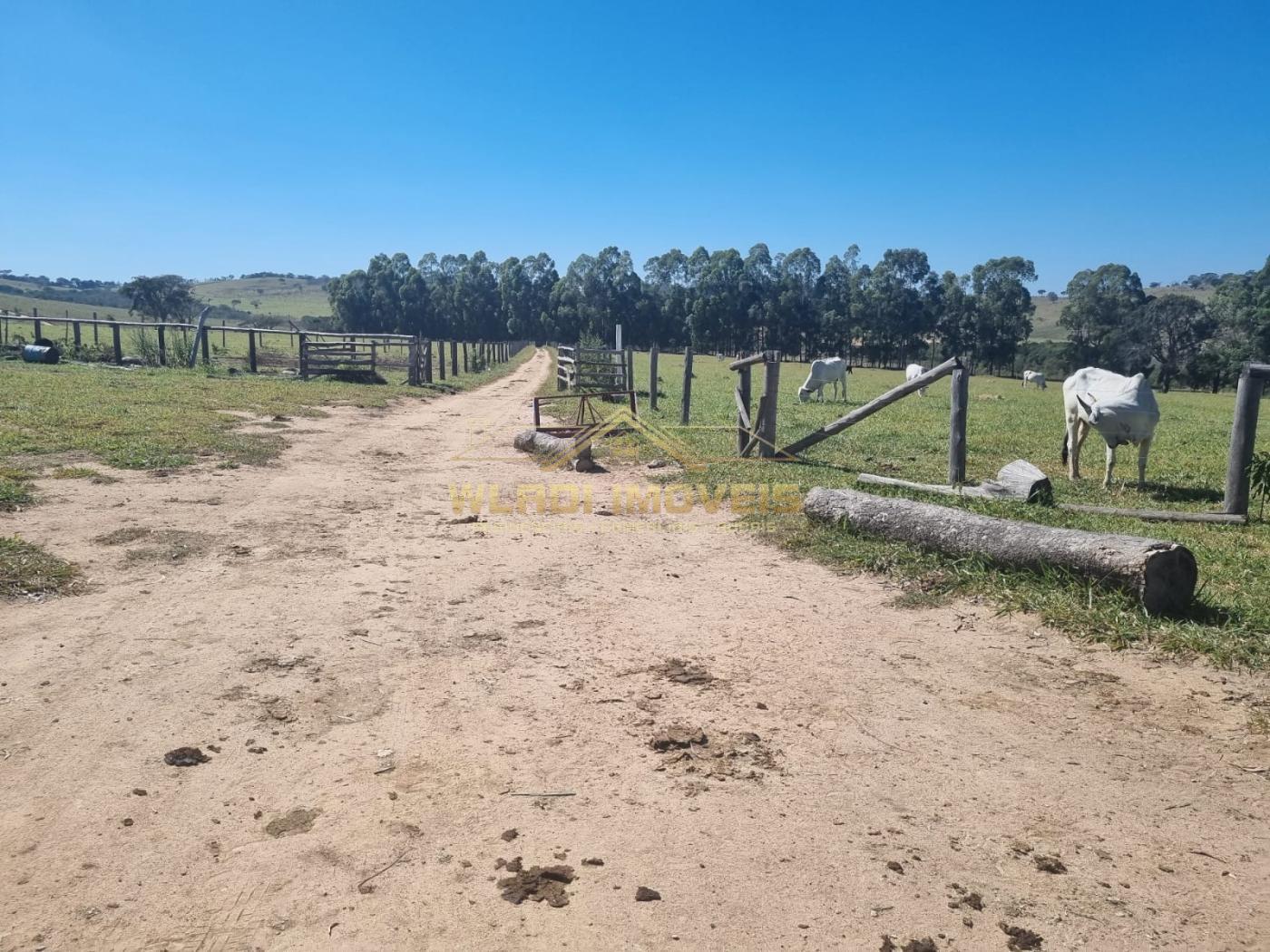 Fazenda à venda, 600m² - Foto 2