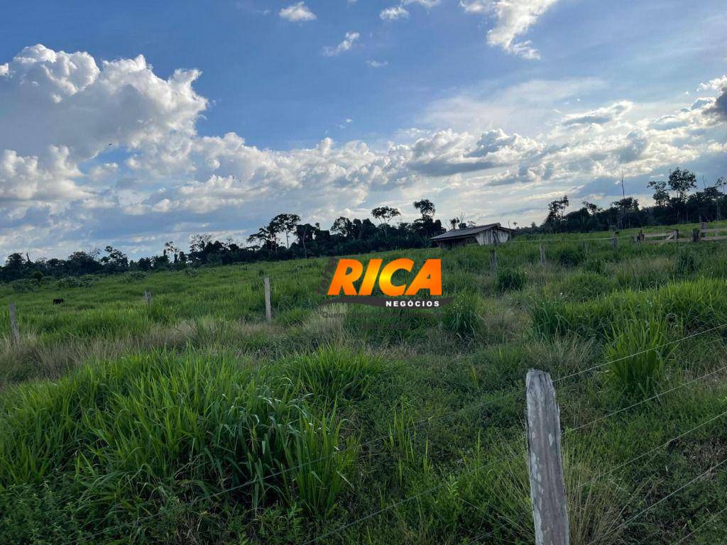 Sítio, 40 hectares - Foto 27