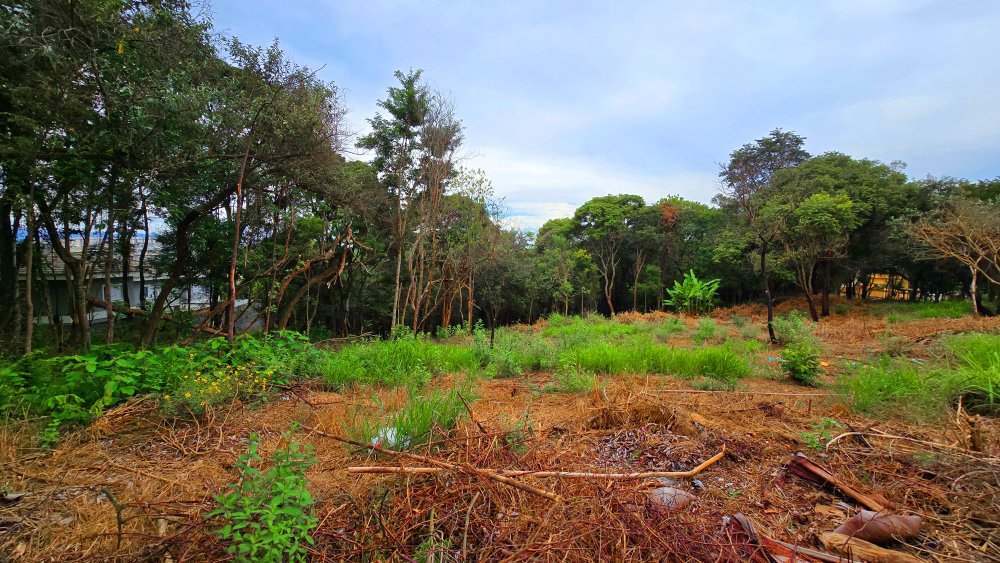 Terreno à venda, 2855m² - Foto 21