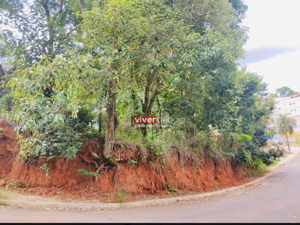 Terreno à venda, 705M2 - Foto 6