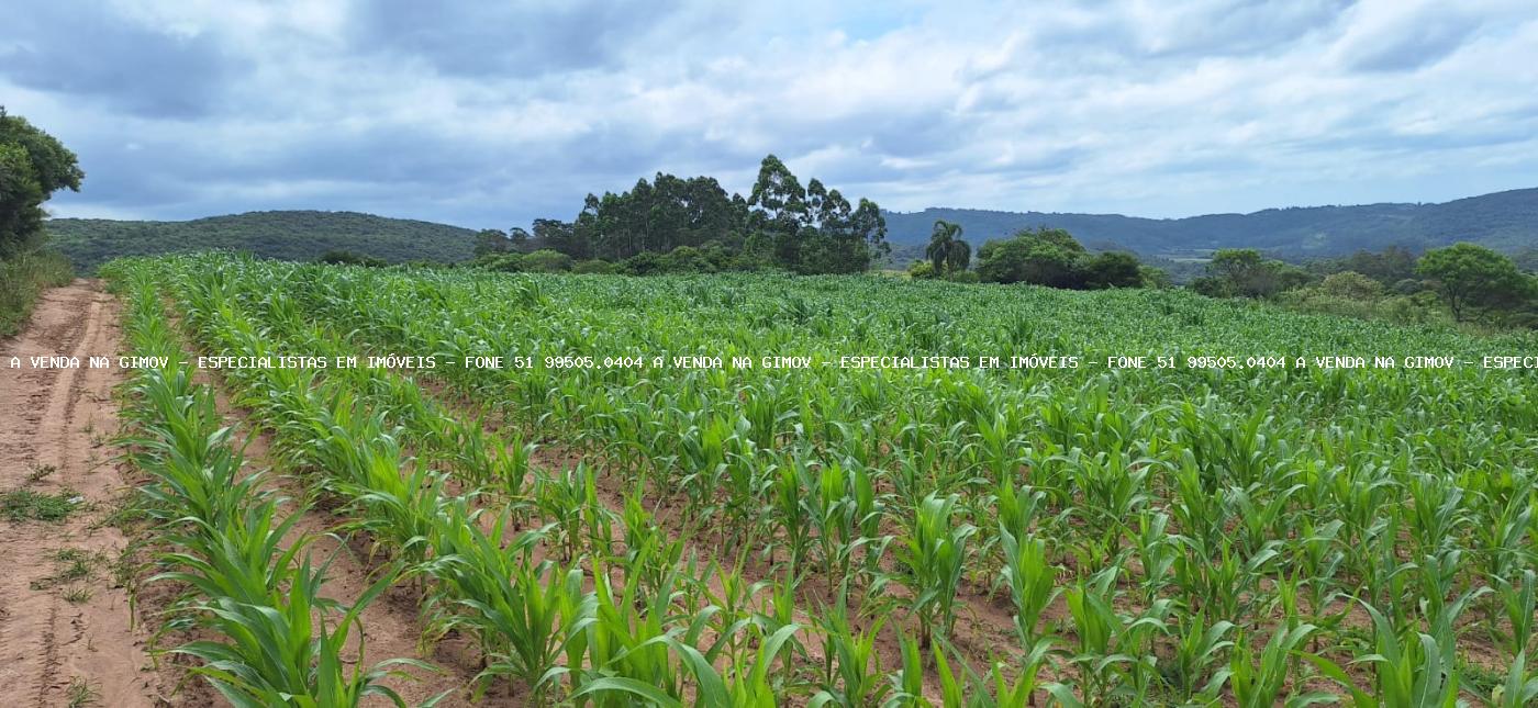 Loteamento e Condomínio à venda, 120000m² - Foto 25