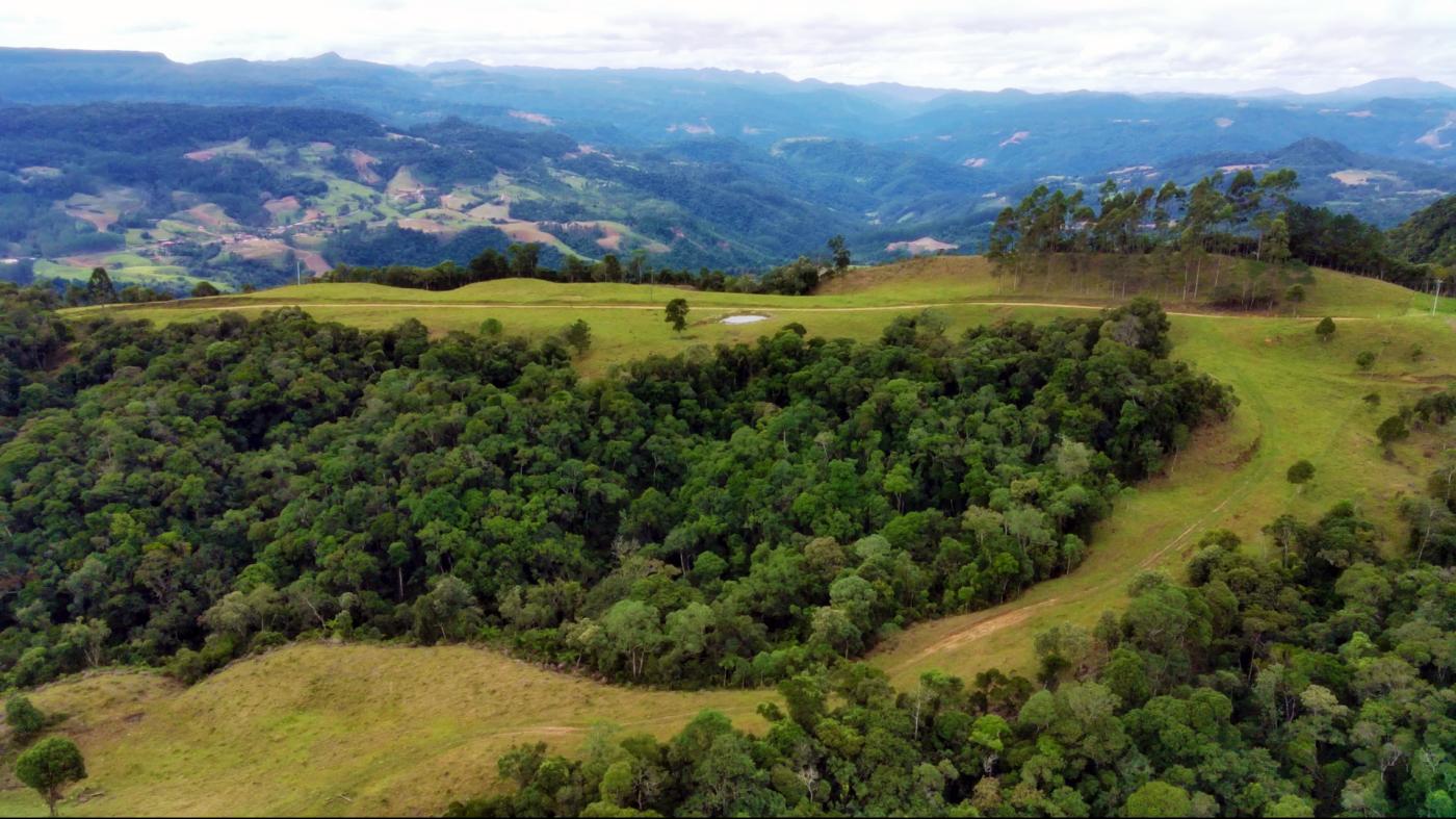 Fazenda à venda com 2 quartos, 862000m² - Foto 10