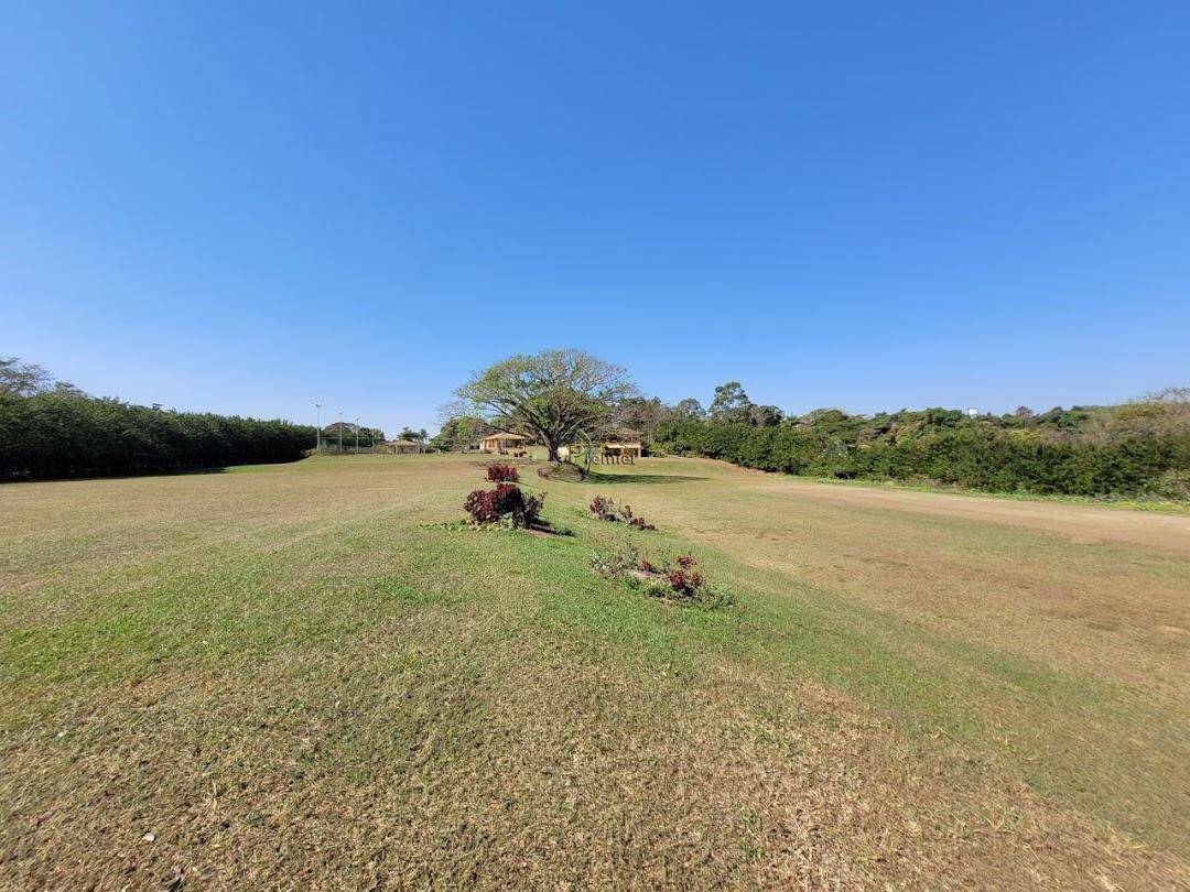 Chácara à venda com 4 quartos, 1000m² - Foto 85