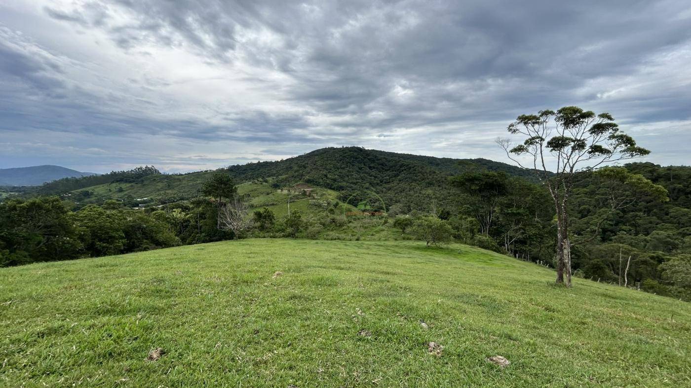 Terreno, 9 hectares - Foto 1