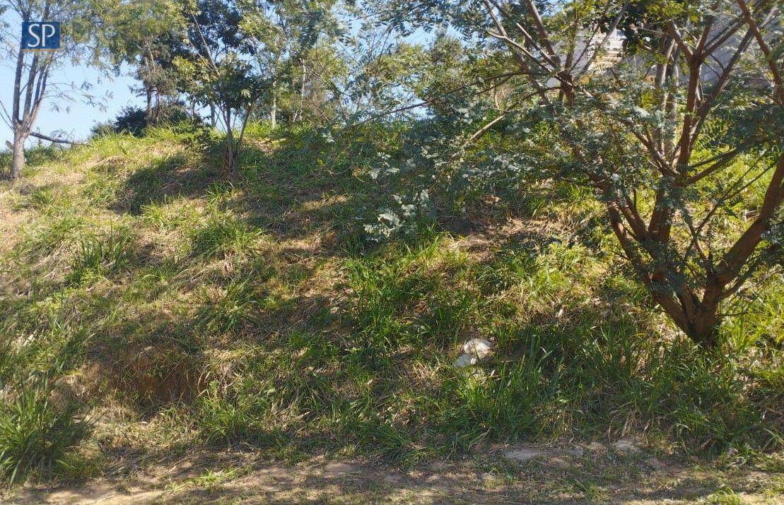 Terreno, 250 m² - Foto 4