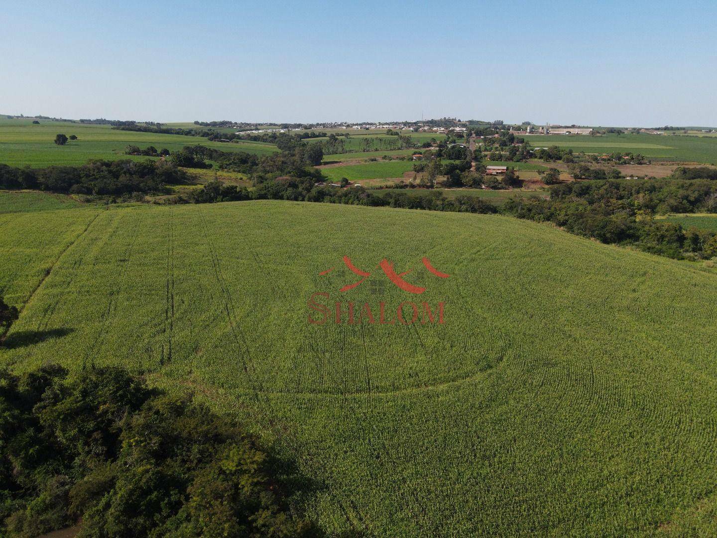 Fazenda-Sítio-Chácara, 12 hectares - Foto 4
