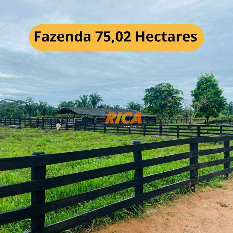 Fazenda à venda, 750200M2 - Foto 1