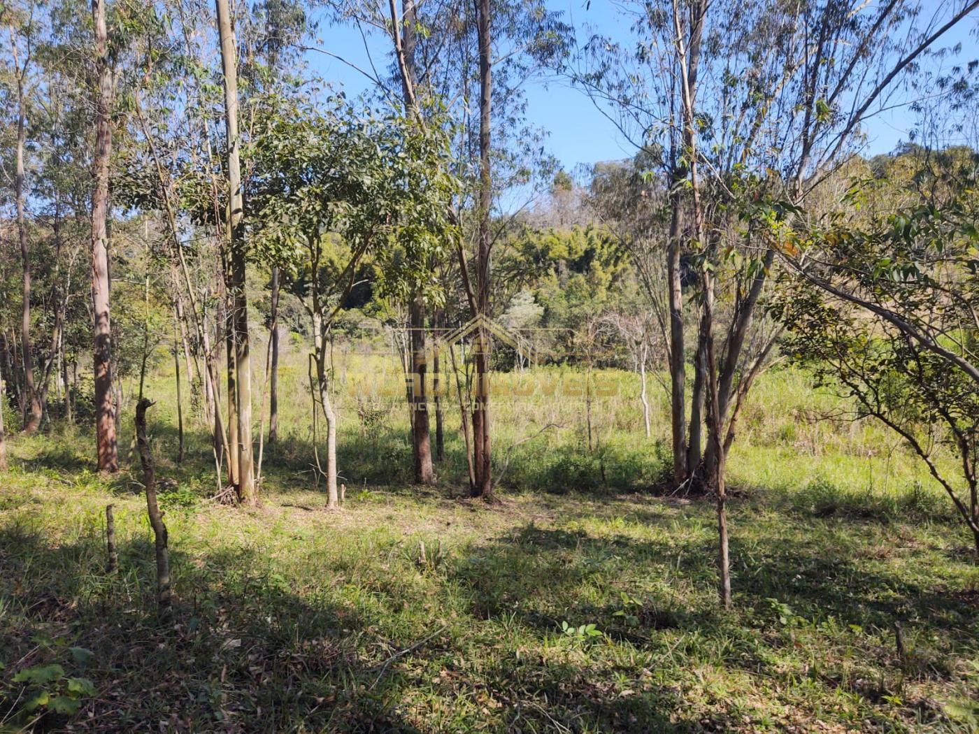 Fazenda à venda, 36000m² - Foto 13