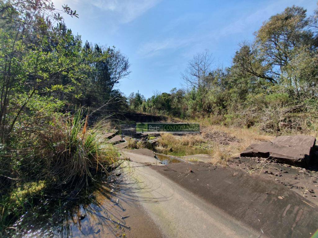 Terreno à venda, 15600M2 - Foto 12