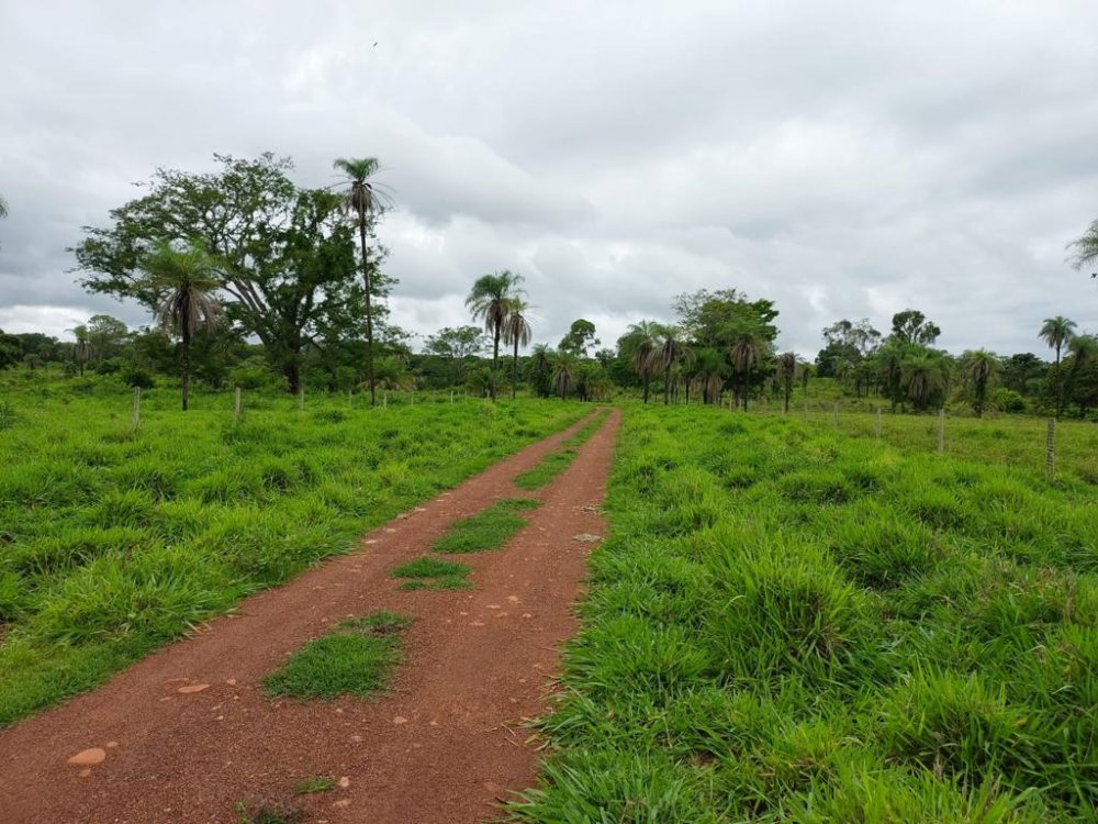 Fazenda à venda, 2575m² - Foto 16