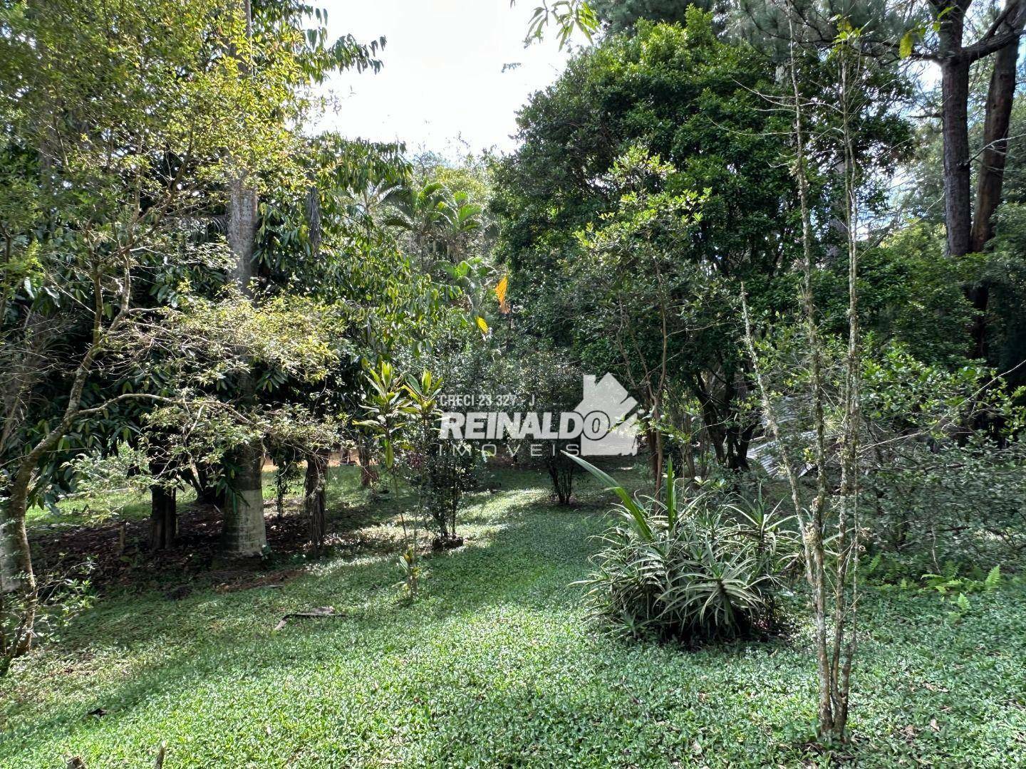 Sítio à venda com 3 quartos, 380m² - Foto 16