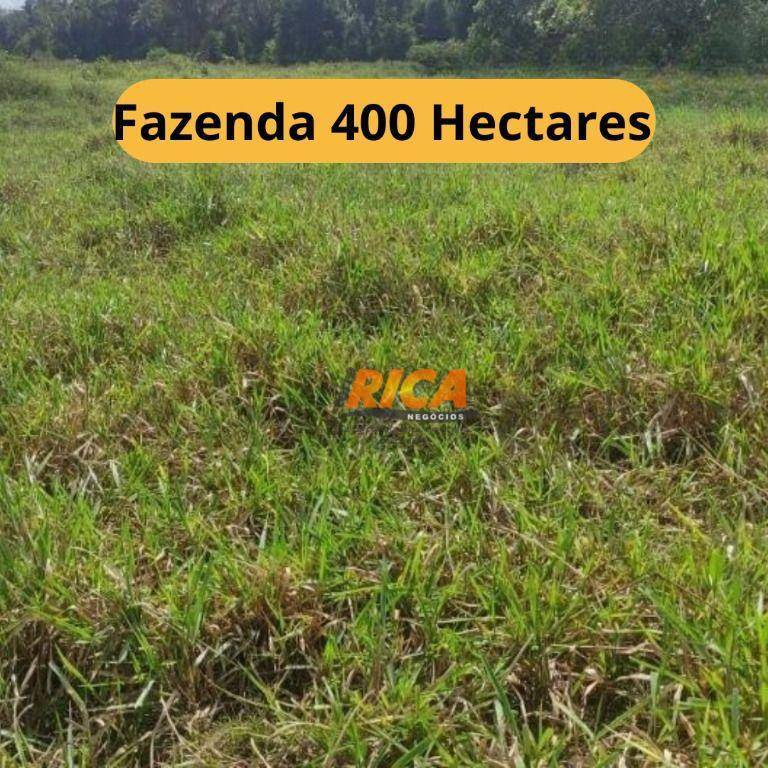 Fazenda-Sítio-Chácara, 400 hectares - Foto 1