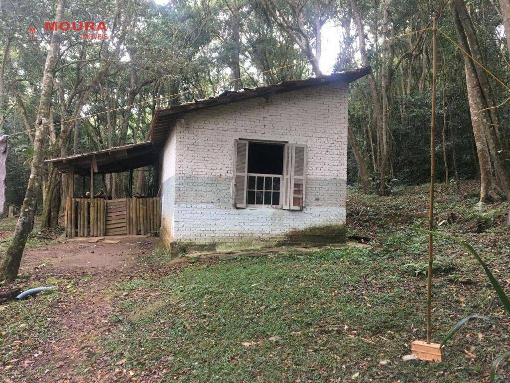 Chácara à venda com 1 quarto, 7211M2 - Foto 7