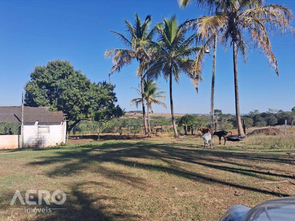 Sítio à venda com 4 quartos, 600m² - Foto 15