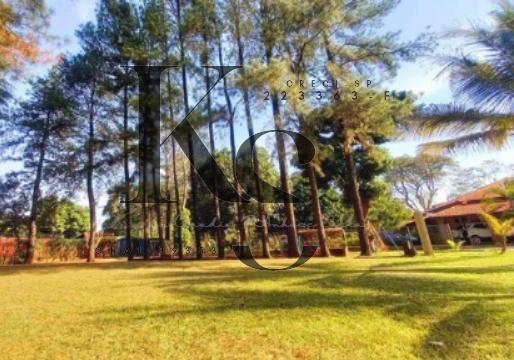 Fazenda à venda com 4 quartos, 6000m² - Foto 2