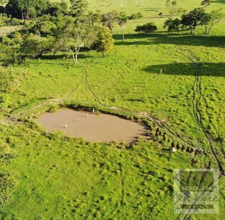 Fazenda à venda, 6050000M2 - Foto 24