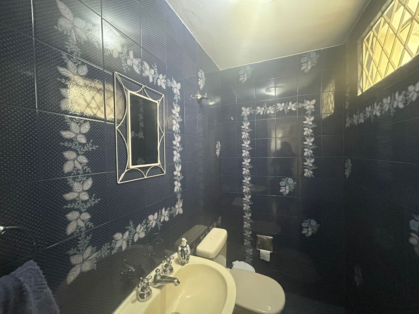 Casa à venda com 3 quartos, 375m² - Foto 15